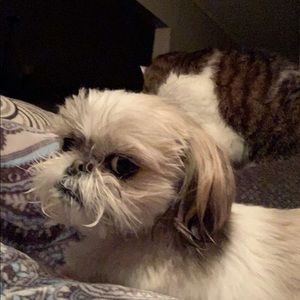 Meet your Posher, Logan